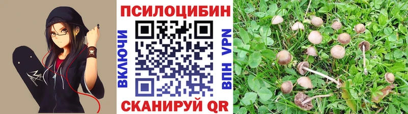 Псилоцибиновые грибы прущие грибы  Купить  Валуйки 